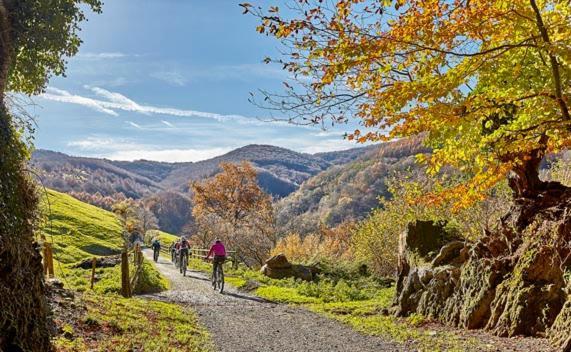 Alojamiento Rural Urgain I Y II เลคุนเบร์รี ภายนอก รูปภาพ